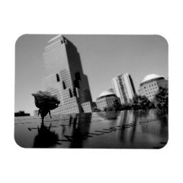 Vit ros i hågkomst magnet