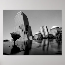 Vit ros i hågkomst poster