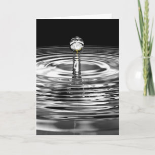 Vit ros i Vatten Droplet Kort
