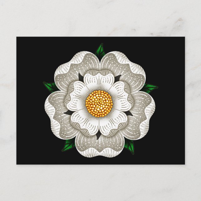 Vit ros i York Vykort (Framsida)