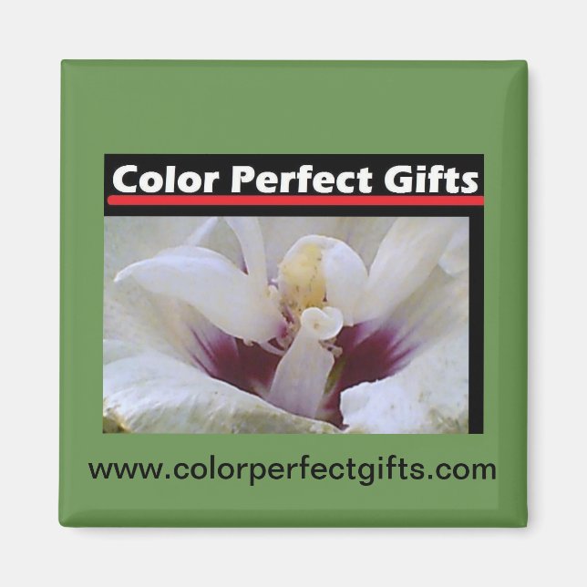 Vit ros magnet (Framsidan)