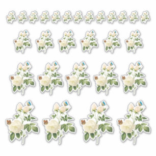 Vit ros med Butterflies Stickers Klistermärken