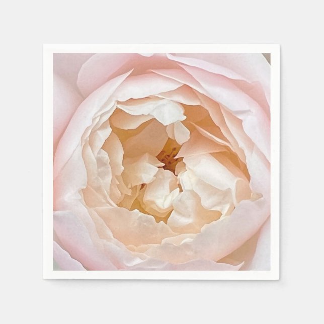 Vit ros med rosa rodnad pappersservett (Framsidan)