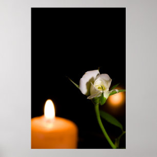 Vit ros och ljus poster