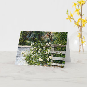 Vit ros om Land-blommans fästanordning Kort