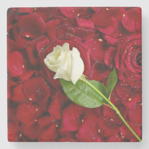 Vit ros på röda Petals Stenunderlägg