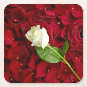 Vit ros på röda Petals Underlägg Papper Kvadrat