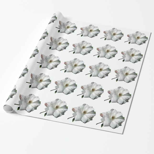 Vit ros Party Shower Bröllop Blommars Destiny Presentpapper (Utrullad)