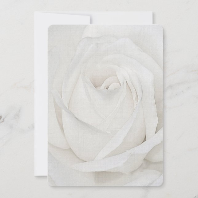 vit ros Petals Anteckningskort (Framsida)