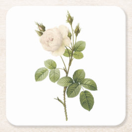 vit ros (Rosa campanulata alba) från Redouté Underlägg Papper Kvadrat