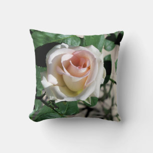 Vit ros Rosa Center - fyllning 16 tum x 16 tum Kudde