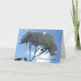 Vit ros Sympathy Card Kort