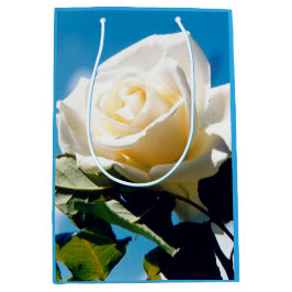 Vit ros under blå himmel