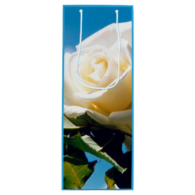 Vit ros under blå himmel (Framsidan)