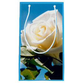 Vit ros under blå himmel