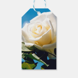 Vit ros under blå himmel presentetikett