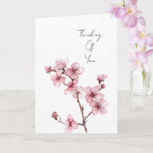 Vit Rosa Cherry Blommar Blommigt Kort