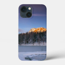 Vit Rosa Elegant Blommigt Titta på solnedgången