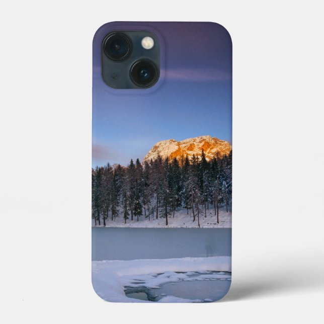 Vit Rosa Elegant Blommigt Titta på solnedgången (Baksida)