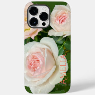 Vit rosa ros, vacker romantisk