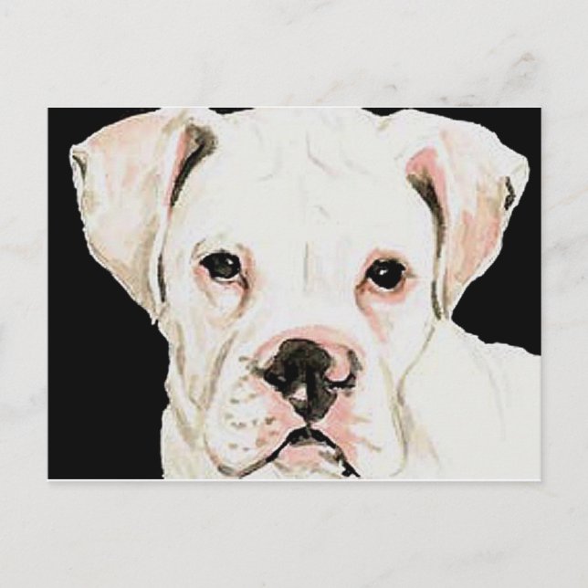 Vit ruta Original Hund Art-vykort Vykort (Framsida)