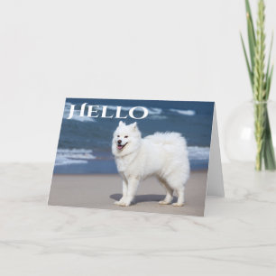 Vit samfärgad marionett - Hej, Hund. Kort