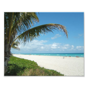 Vit Sand Beach w/Handflatan Fototryck