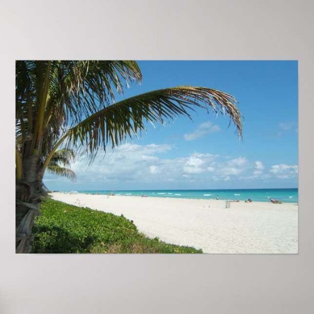 Vit Sand Beach w/Handflatan Poster (Framsidan)