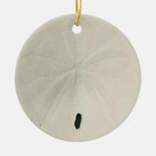 Vit Sand Dollar Julgran Ornament