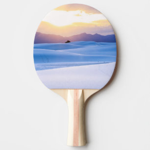 Vit Sands medborgaremonument 3 Pingisracket