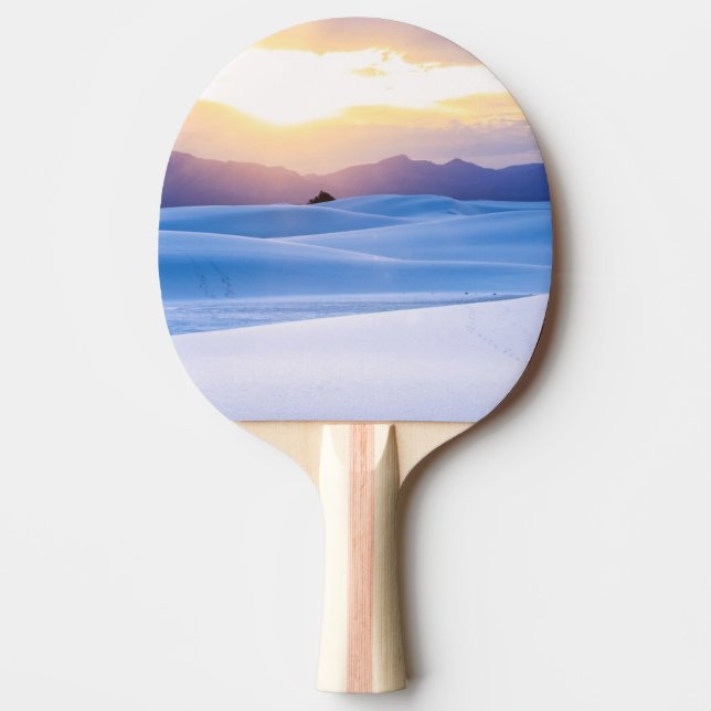 Vit Sands medborgaremonument 3 Pingisracket (Framsidan)