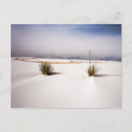 Vit Sands morgonvykortet Vykort