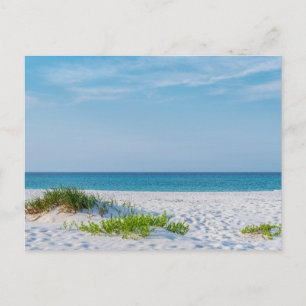 Vit Sandy Beach Florida Kusten vykort