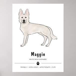 Vit schweizisk herdehund Vit GSD och anpassad text Poster
