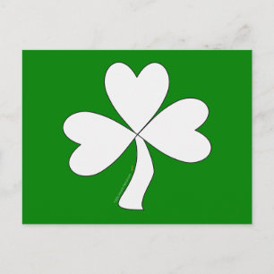 Vit Shamrock St. Patrick's Day Irländsk Lycka Vykort