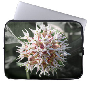 Vit Showy Milkweed, jodrosfoto Laptop Fodral