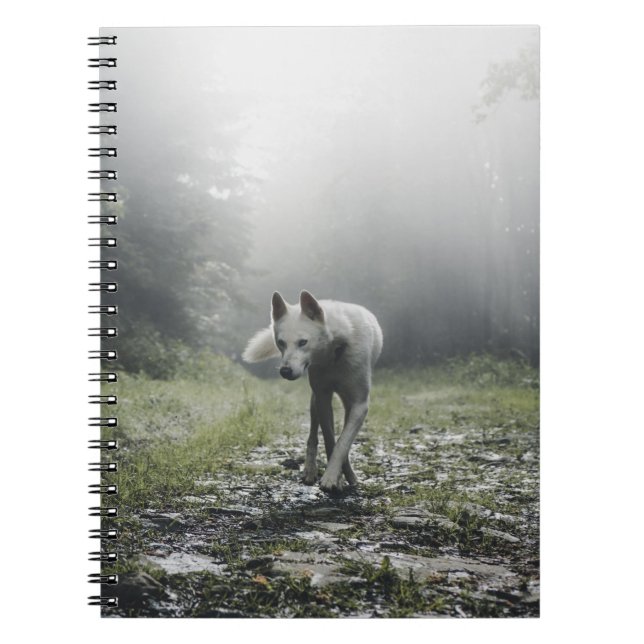 Vit Siberian husky bärbar dator Anteckningsbok (Framsidan)