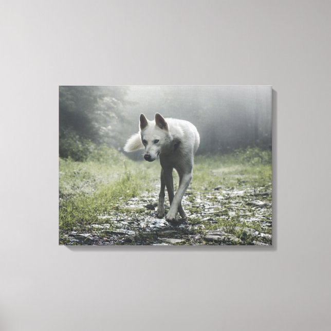 Vit Siberian Husky Canvastryck (Framsida)