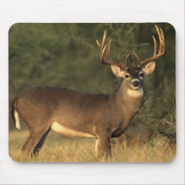 Vit skräddarsydd musmattor med hjort