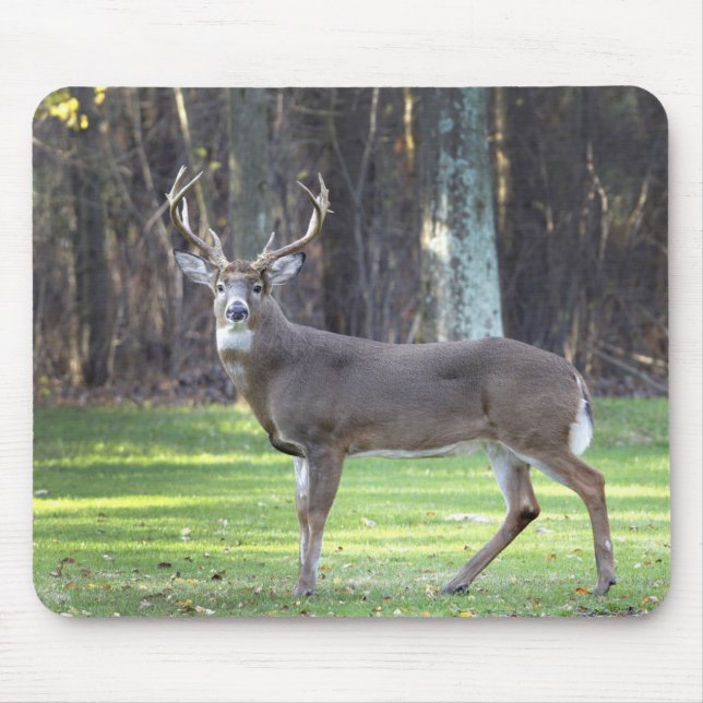 Vit skräddarsydd musmattor med hjort (Framsidan)
