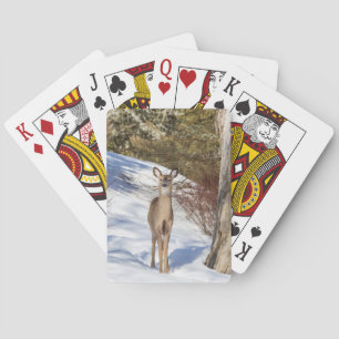 Vit skum Hjort Tittar på dig Casinokort