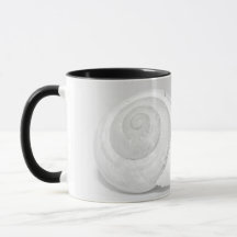Vit Snigelskal Minimalistisk Naturfotografi