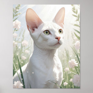 Vit Sphynx Katt och Blommor Poster