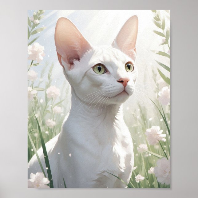 Vit Sphynx Katt och Blommor Poster (Framsidan)