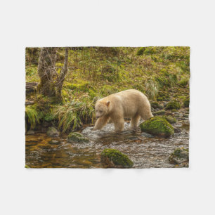 Vit spökbjörn jagar fisk i Riordan Creek Fleecefilt