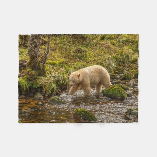 Vit spökbjörn jagar fisk i Riordan Creek Fleecefilt (Framsidan (Horisontell))