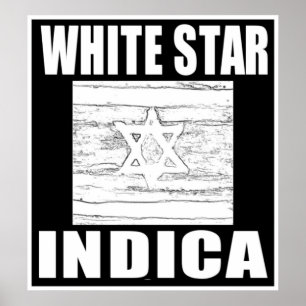 VIT STJÄRNA INDICA POSTER