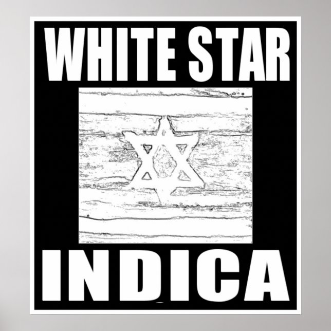 VIT STJÄRNA INDICA POSTER (Framsidan)