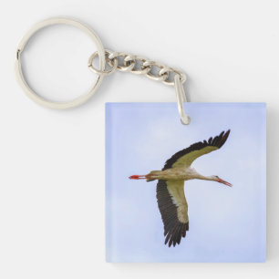 Vit stork