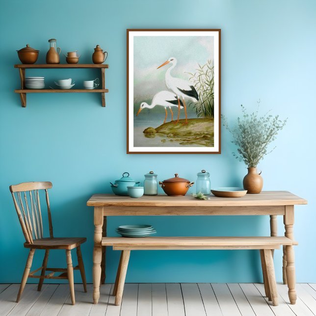 Vit stork, fågelillustrationer poster (Skapare uppladdad)